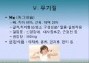 5대 영양소의 이해 23페이지