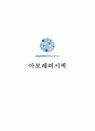 [자기소개서 모음 25종] 합격자기소개서-기업별, 직종별 25종모음 65페이지
