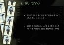[독신문제] 독신의 실태와 원인 및 독신을 위한 해결책 2페이지