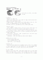 [요점정리 레포트][통크(TONK)족] 통크족의 배경, 원인, 현황 및 통크족 대책방안 3페이지