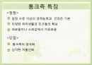 ★★★통크(TONK)족의 삶의 특징과 출현배경 및 통크(TONK)족에 대한 고찰★★★ 10페이지