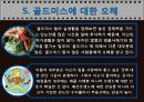 (GOLD MISS) 골드미스의 개념과 현황 및 증가원인과 골드미스에 대한 견해 - 골드미스의 증가와 조건, 영향력, 그림자, 골드미스에 대한 오해 7페이지