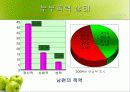 [★★★부부폭력 해결책★★★] 부부싸움의 실태, 부부싸움의 원인과 해결책, 나의 견해 5페이지