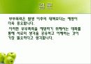 [★★★부부폭력 해결책★★★] 부부싸움의 실태, 부부싸움의 원인과 해결책, 나의 견해 8페이지