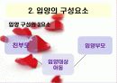 [★★★입양 문제 해결책★★★] 입양의 개념, 목적, 현황과 입양의 문제점 및 입양가족을 위한 대책 6페이지