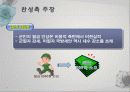 [★★군가산점제도 찬반 논의★★] 군가산점제도의 개념과 찬성, 반대 논의 및 군가산점제도에 대한 나의 견해 6페이지