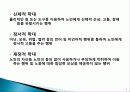 [★★노인학대 방지 방안★★] 노인학대의 심각성과 문제점, 원인 및 노인학대 대책방안 5페이지