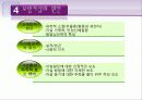 [★★베르테르효과 (Werther effect)★★] 모방자살의 현형과 원인 및 모방자살 문제 해결방안 레포트 9페이지