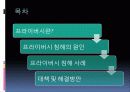 [★★프라이버시 침해 문제 해결책★★] 프라이버시 침해의 심각성과 원인 및 프라이버시 보호방안 2페이지