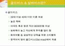[골드미스 실버미스] 골드미스 및 실버미스의 개념과 증가원인 및 골드미스 & 실버미스에 대한 사례와 나의 견해 3페이지