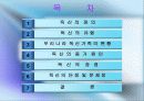 [독신가족] 독신가족의 정의, 유형, 원인 및 독신가족의 문제점과 해결방안 2페이지