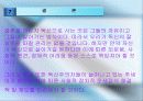 [독신가족] 독신가족의 정의, 유형, 원인 및 독신가족의 문제점과 해결방안 9페이지