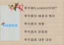 [루키즘 해결방안] 루키즘(Lookism)의 정의, 등장배경, 긍정적 부정적 측면 및 Lookism 대처방안 2페이지