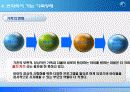 [Gold Kids에 대한 견해] Gold Kids의 개념과 등장배경, 문제점 및 골드키즈에 대한 견해 6페이지