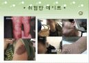★★★데이트 폭력의 개념과 원인 및 데이트폭력의 특징 및 데이트폭력 대책방안★★★ 4페이지