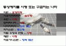 ★★★동성애, 동성애가족의 정의와 실태 및 동성애와 동성애가족의 문제점 및 해결방안★★★ 8페이지