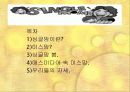 ★★★싱글맘의 현황과 원인 및 싱글맘을 대하는 우리의 자세★★★ 2페이지