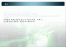 [★★4대강 사업의 개선방향★★] 4대강살리기의 개념과 4대강 사업의 문제점 및 올바른 4대강 사업 방향 14페이지