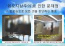 [외모지상주의 대안책] 외모 지상주의의 실태와 원인 및  한국 사회에 미치는 영향과 문제점 11페이지