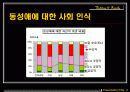 [우리사회 동성애자의 인권] 동성애자의 현황과 동성애에 대한 사회인식 및 동성애에 대한 나의 견해 13페이지