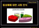 [우리사회 동성애자의 인권] 동성애자의 현황과 동성애에 대한 사회인식 및 동성애에 대한 나의 견해 14페이지