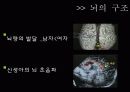 [연애심리학] 남녀간 연애에 대한 다른 특징 및 연애 심리학에 대한 분석 10페이지