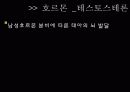 [연애심리학] 남녀간 연애에 대한 다른 특징 및 연애 심리학에 대한 분석 14페이지