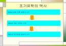 [조기유학] 조기유학의 원인과 실태 및 조기유학에 따른 문제점 대책방안 4페이지