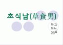 ★★초식남(草食男)의 개념, 초식남 테스트, 사회적 배경 및 초식남에 대한 견해들★★ 1페이지