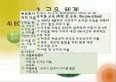 핀란드 유아교육의 역사와 핀란드 유아교육의 이념, 목표, 체계, 특징 및 핀란드 유아교육의 시사점 9페이지