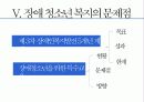 [장애청소년 복지] 장애 청소년의 현황과 실태 및 문제점과 장애 청소년 복지정책 및 서비스의 실천방안 10페이지