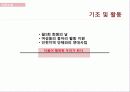 인천여성회의 여성교육 기관 분석 및 여성교육의 성공 사례 및 실패사례와 인천여성회 방문 후기 11페이지
