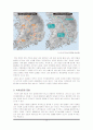 [★★녹색성장의 필요성과 전망★★] 녹색성장의 개념과 필요성 및 한국의 녹색성장전략의 문제점과 대안 및 외국의 사례 13페이지