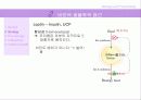 [비만 심리학] 심리학 측면에서 바라본 비만의 특징과 현 실태 및 비만문제 해결방안 8페이지