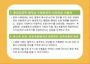 [선진국의 유아교육] 스웨덴 육아정책 개관 및 동향과 유아교육, 보육에 대한 분석과 교훈점 41페이지