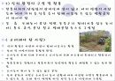 [보육학개론]생태유아교육의 성격, 생태유아교육의 배경, 관점, 생태유아교육 프로그램의 구성, 방법, 실제 사례분석 및 생태유아교육의 과제와 전망 29페이지