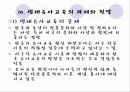 [보육학개론]생태유아교육의 성격, 생태유아교육의 배경, 관점, 생태유아교육 프로그램의 구성, 방법, 실제 사례분석 및 생태유아교육의 과제와 전망 48페이지
