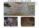 [보육학개론]생태유아교육의 성격, 생태유아교육의 배경, 관점, 생태유아교육 프로그램의 구성, 방법, 실제 사례분석 및 생태유아교육의 과제와 전망 59페이지