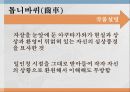 [아쿠타가와 류노스케] 작품으로 보는 아쿠타가와 류노스케의 삶과 작품 분석 및 인생 46페이지
