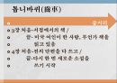 [아쿠타가와 류노스케] 작품으로 보는 아쿠타가와 류노스케의 삶과 작품 분석 및 인생 48페이지