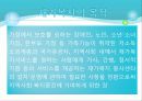 [사회복지서비스정책 전체 분석] 영유아 보육정책, 아동복지 정책, 재가복지정책, 지역사회복지 협의체, 저출산, 고령화 사회정책, 사회적 일자리 25페이지