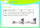 [아동의 안전사고 대처방안] 유아의 안전사고 유형과 특징 및 유아사고 분석 및 대처방안 (화재사고, 화상, 스포츠사고, 자연재해사고, 동물사고 각각 분석) 35페이지