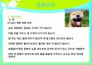 [아동의 안전사고 대처방안] 유아의 안전사고 유형과 특징 및 유아사고 분석 및 대처방안 (화재사고, 화상, 스포츠사고, 자연재해사고, 동물사고 각각 분석) 93페이지