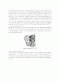 VAN DOORNE & CVT 6페이지