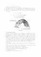 VAN DOORNE & CVT 12페이지