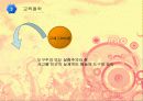 존 듀이 Dewey 생애, 저서, 교육 철학, 교육관, 아동관, 교육 방법, 목적, 실험학교, 시사점 7페이지