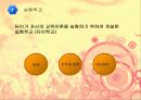 존 듀이 Dewey 생애, 저서, 교육 철학, 교육관, 아동관, 교육 방법, 목적, 실험학교, 시사점 15페이지