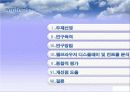 인간공학 브라우져 디스플레이 컨트롤 4페이지
