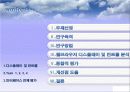 인간공학 브라우져 디스플레이 컨트롤 8페이지