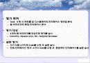 인간공학 브라우져 디스플레이 컨트롤 9페이지